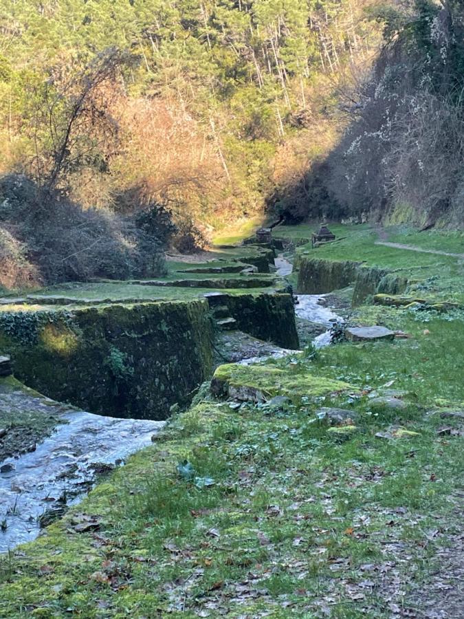 La Dimora Di Corte Lucca Bagian luar foto